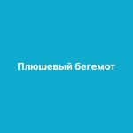 Создание сайта «Плюшевый бегемот»