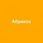 Интернет-магазина Абрикос